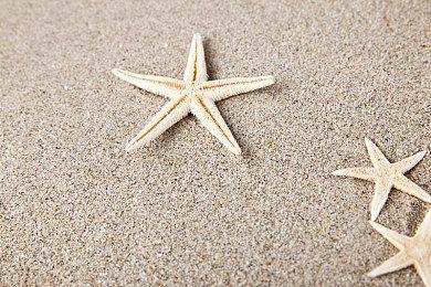 新《使命召唤》皮肤引争议：老皮肤改改再卖一次